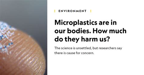 Microplastics Are In Our Bodies How Much Do They Harm Us — Beyond Plastics Working To End