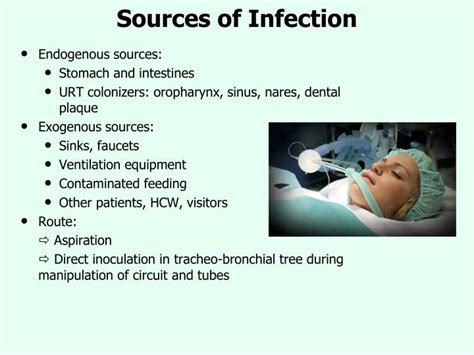 Ppt Sources Of Healthcare Associated Infections Powerpoint