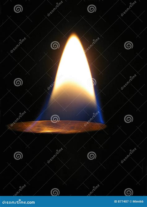 This Light In Oneself True Meditation English Edi 5
