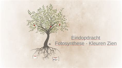 Eindopdracht By Lydia Nordt On Prezi