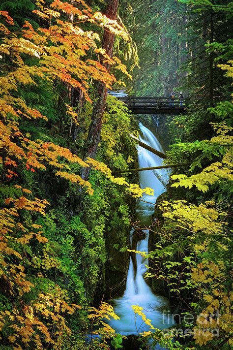 Sol Duc Falls In Autumn Photograph By Inge Johnsson