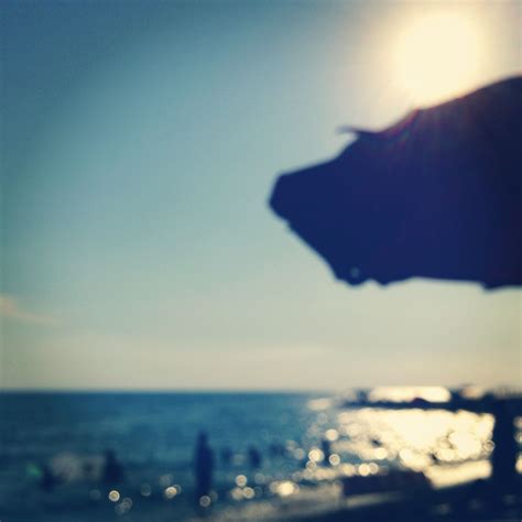 Staring At The Sun