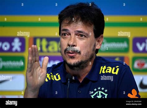 The New Coach Of The Brazilian National Soccer Team Fernando Diniz
