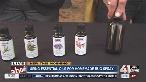 Homemade Bug Sprays That Work Youtube