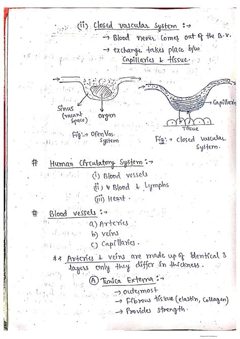 Solution Body Fluids And Circulation Studypool