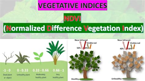 Ndvi Normalized Difference Vegetation Index Gate Geomatics