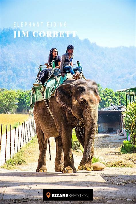 elephant safari  corbett national park jim corbett national park