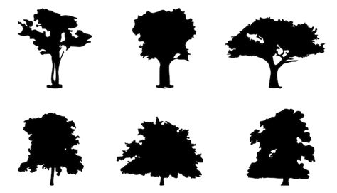 Premium Vector Set Of Trees Silhouette Isolated On White Background