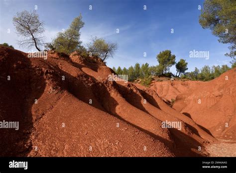 Ca N De La Tierra Roja O Ca N De Las Terres Rouges Naranja U Ochre