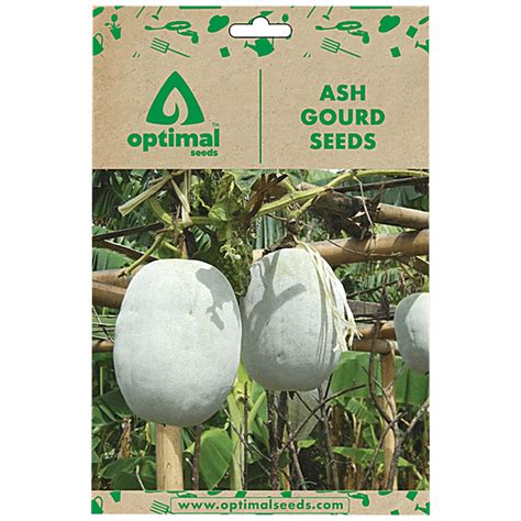 Buy Optimal Seeds Ash Gourd Vegetable Seeds Online At Best Price Of Rs 149 Bigbasket