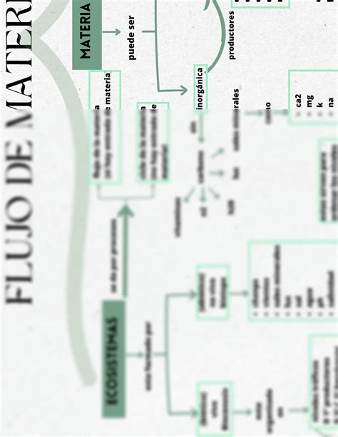 Solution Mapa Conceptual Flujo De Materia Studypool