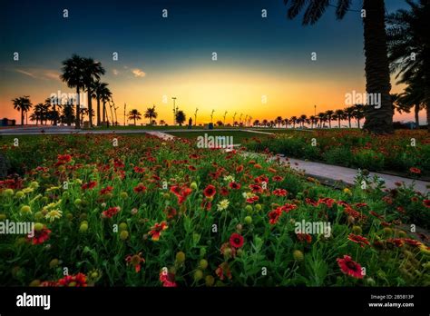 Al khobar skyline hi-res stock photography and images - Alamy