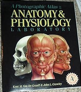 By Kent M Van De Graaff A Photographic Atlas For The Anatomy And