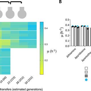 Specific Growth Rates Of S Cerevisiae CEN PK113 7D In Aerobic Batch