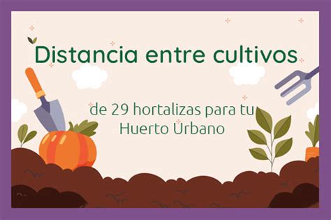 Distancia Entre Cultivos De 21 Hortalizas Para Tu Huerto Urbano Tu