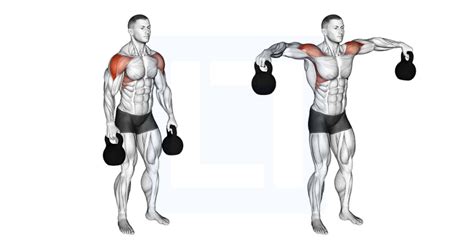 Cable Seated Rear Lateral Raise Guide Benefits And Form