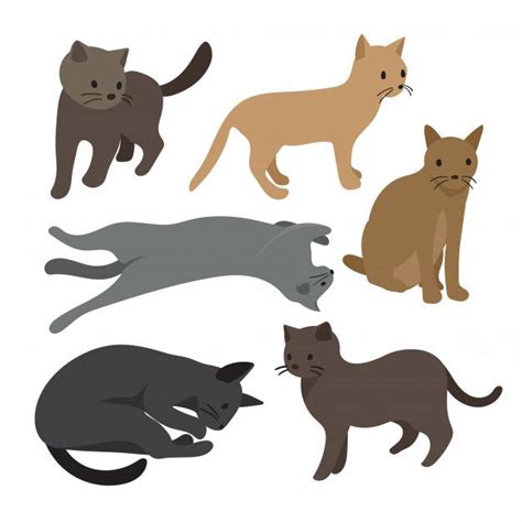 Premium Vector | Cat vector collection design | Cat vector, Cat ...