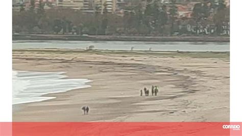 Corpo de mulher encontrado numa praia em Gaia Portugal Correio da Manhã