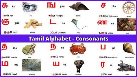 Tamil Alphabets Tamil Consonants Learn Entry, 57% OFF