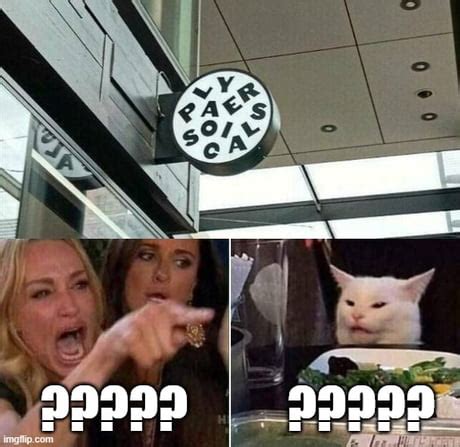 Best Funny table cat Memes - 9GAG