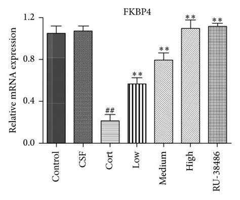 The Effects Of Xys On The Gene Levels Of Caveolin A Gr B Bdnf