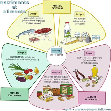 Nutriment définition et explications AquaPortail