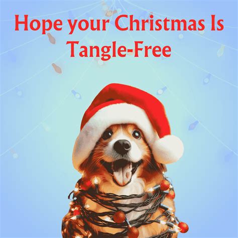 Funny Christmas Ecard Tangle Free Christmas Ecard Send A Charity