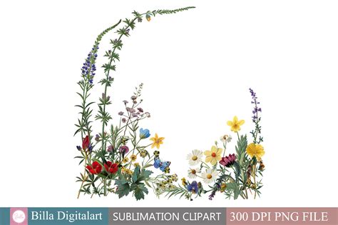 Free Wild Flowers Floral Border Clipart Graphic by BillaDigitalart ...