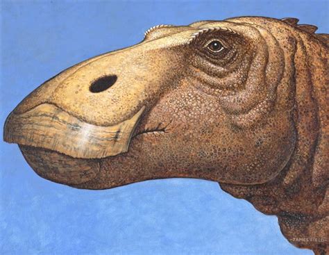 Edmontosaurus Head Duck Bill Dinosaur Cretaceous Painting Real Dinosaur