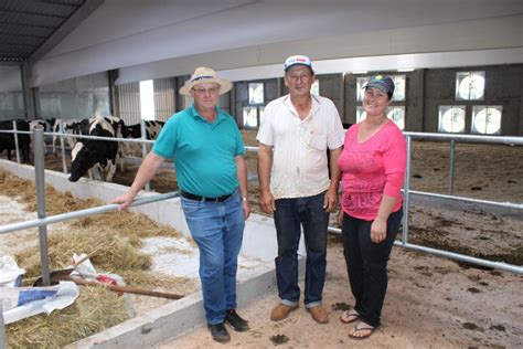 Produtor de leite de Ibiaçá investe em sistema compost barn cross