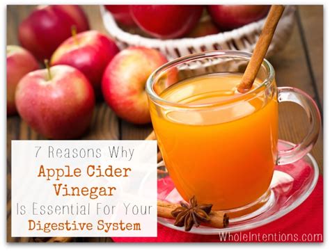 Reasons Why Apple Cider Vinegar Is Essential For Your Digestive