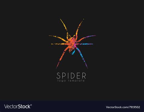 Spider logo design Color spider logo Creative Vector Image