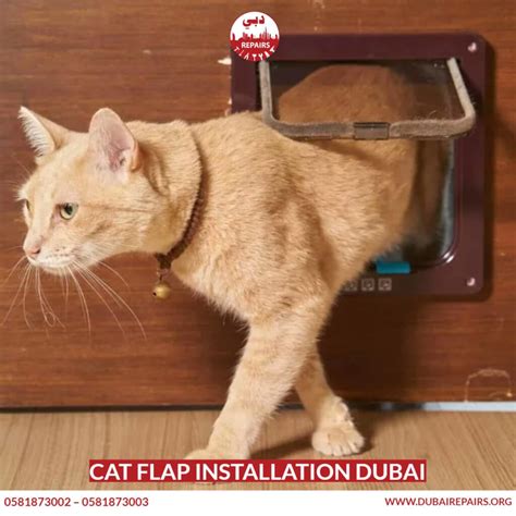 Cat Flap Installation Dubai Dubai Repairs