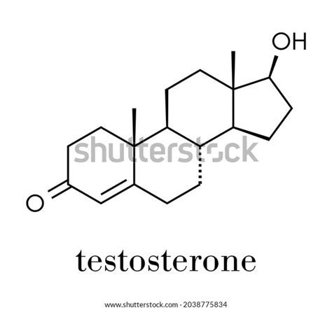 Testosterone Male Sex Hormone Androgen Molecule Stock Vector Royalty Free 2038775834