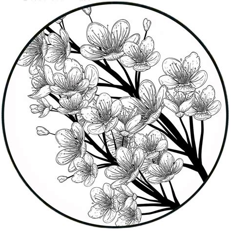 Mexican Flowers Drawing | Free download on ClipArtMag