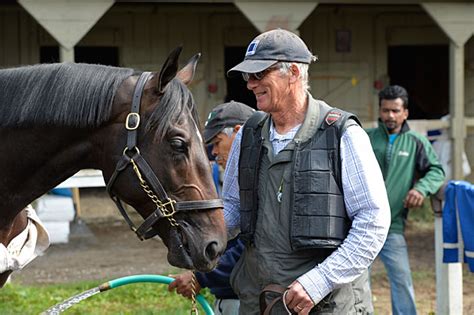 Cozmic One Approaches Long Awaited Debut Bloodhorse