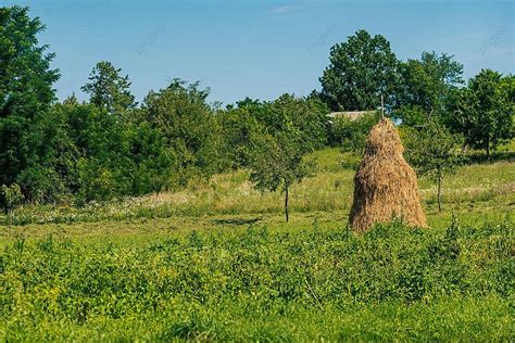 60 Bukovina Photos, Pictures And Background Images For Free Download ...