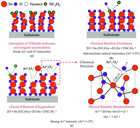 Deposition Mechanisms Of PEALD SnO 2 Thin Films Under Three Kinds Of