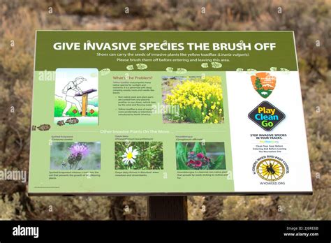 Invasive species sign, Yellowstone National Park, Wyoming Stock Photo ...