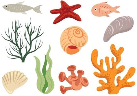 Ocean Vector Art, Icons, and Graphics for Free Download