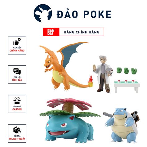 Ch Nh H Ng M H Nh Kanto Pokemon Charizard Venusaur Blastoise