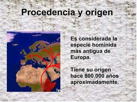 Homo Antecessor PPT