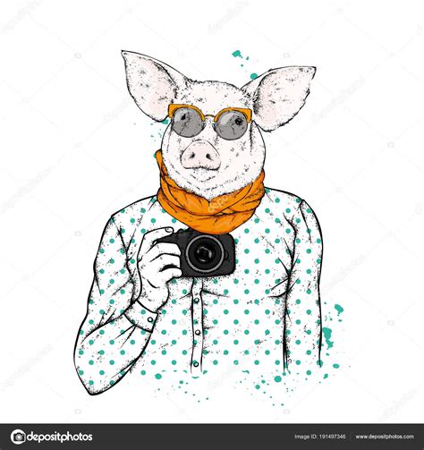 Hipster Pig Human Body Camera Animal Clothes Vector Illustration Stock ...