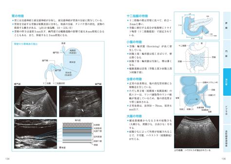 楽天ブックス 超音波検査士認定試験対策：臨床編 消化器領域・健診領域 Book 1 テキスト 過去問分析～出題のポイントで学ぶ