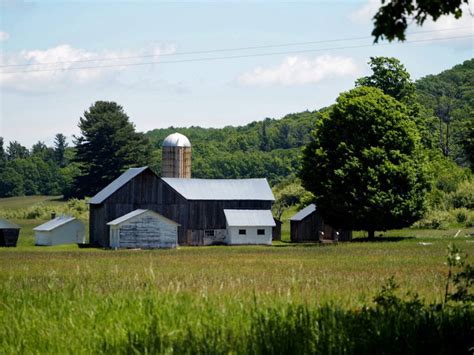 Wetland Loss Could Cost Michiganders Billions In Flood Damage