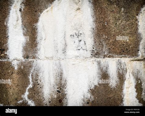 Efflorescence Hi Res Stock Photography And Images Alamy