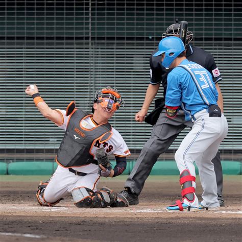 巨人・山瀬慎之助がiロッドばりの秘技披露 元メジャーリーガー新庄監督が「投手より速い」と大絶賛 スポーツ報知