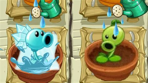 All Animation Peashooter Plants In Zen Garden Plants Vs Zombies 2 Youtube