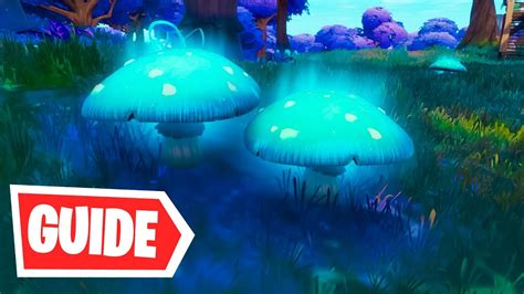 Gain Shields By Bouncing On Slurp Bouncer Mushrooms Fortnite Youtube