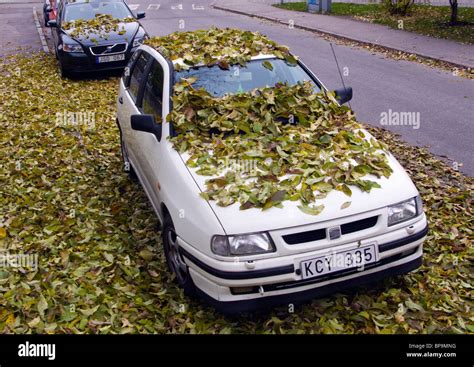 Parked Car Covered With Leaves Under A Tree By Autumn In Sweden Stock